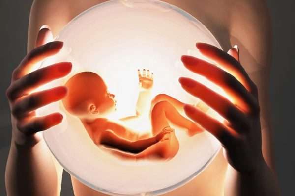 Egg Donation and the Future of Fertility Medicine